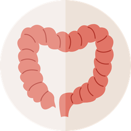 How Long Does It Take For Mebendazole To Work?